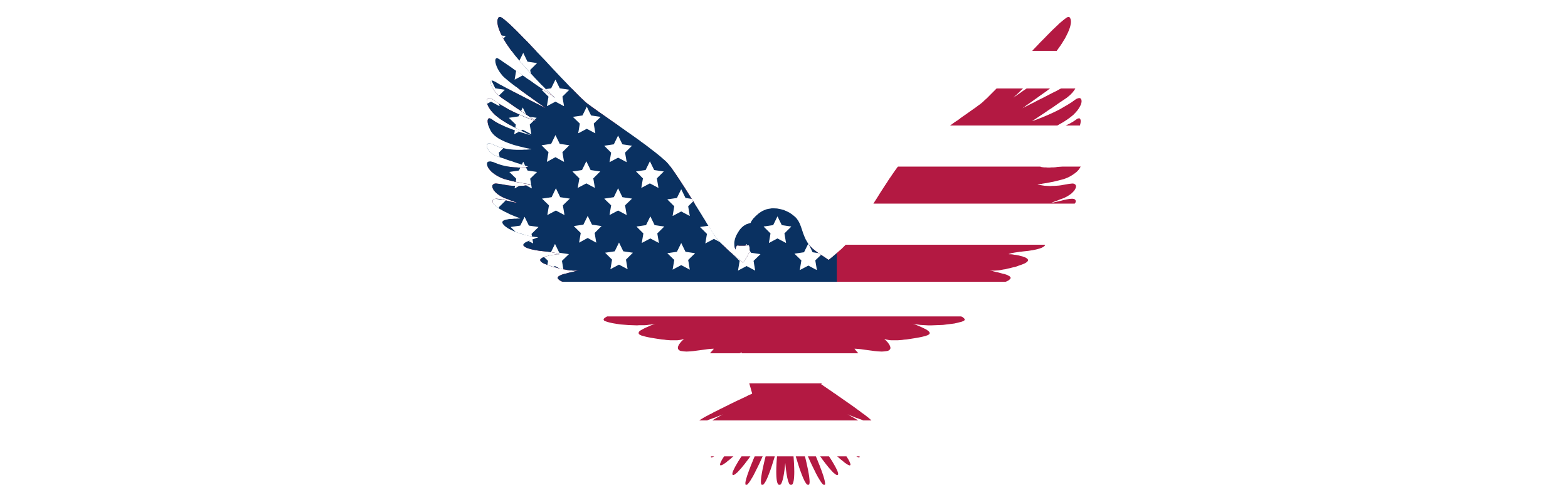 Born Patriotic Logo